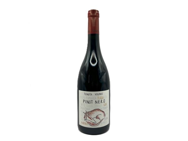 Tenuta Volpare Pinot Noir